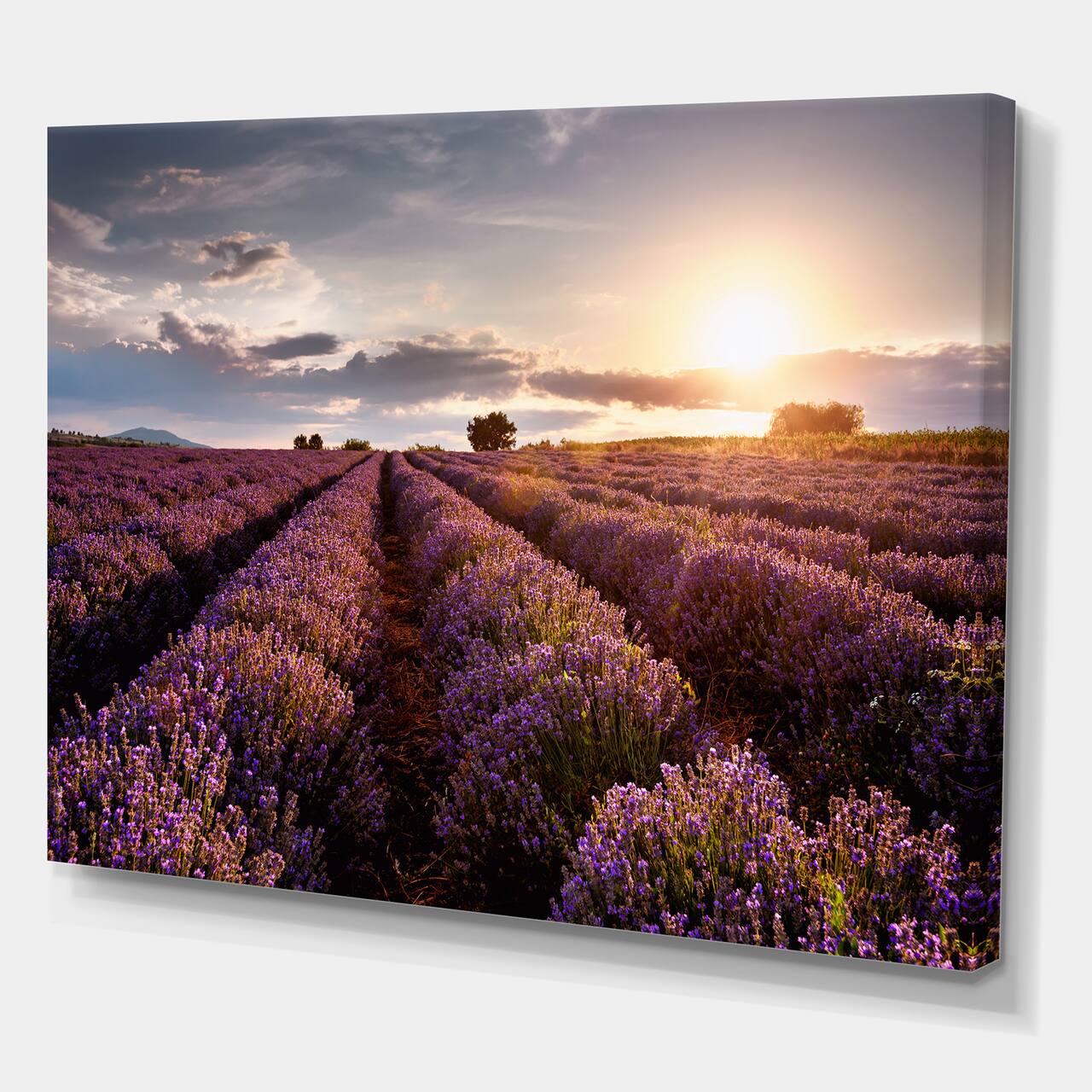 Designart - Sunrise &#x26; Dramatic Clouds Over Lavender Field V - Farmhouse Canvas Wall Art Print